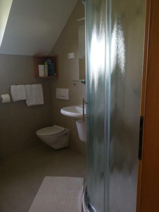 Apartment Juric Maribor Extérieur photo